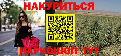 Альфа ПВП Дубна