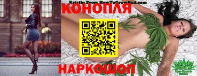 Альфа ПВП Дубна