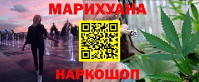 Альфа ПВП Дубна