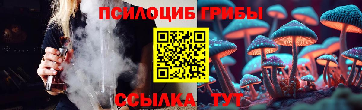 Кизилюрт  Галлюциногенные грибы Magic Shrooms  Вход с VPN 